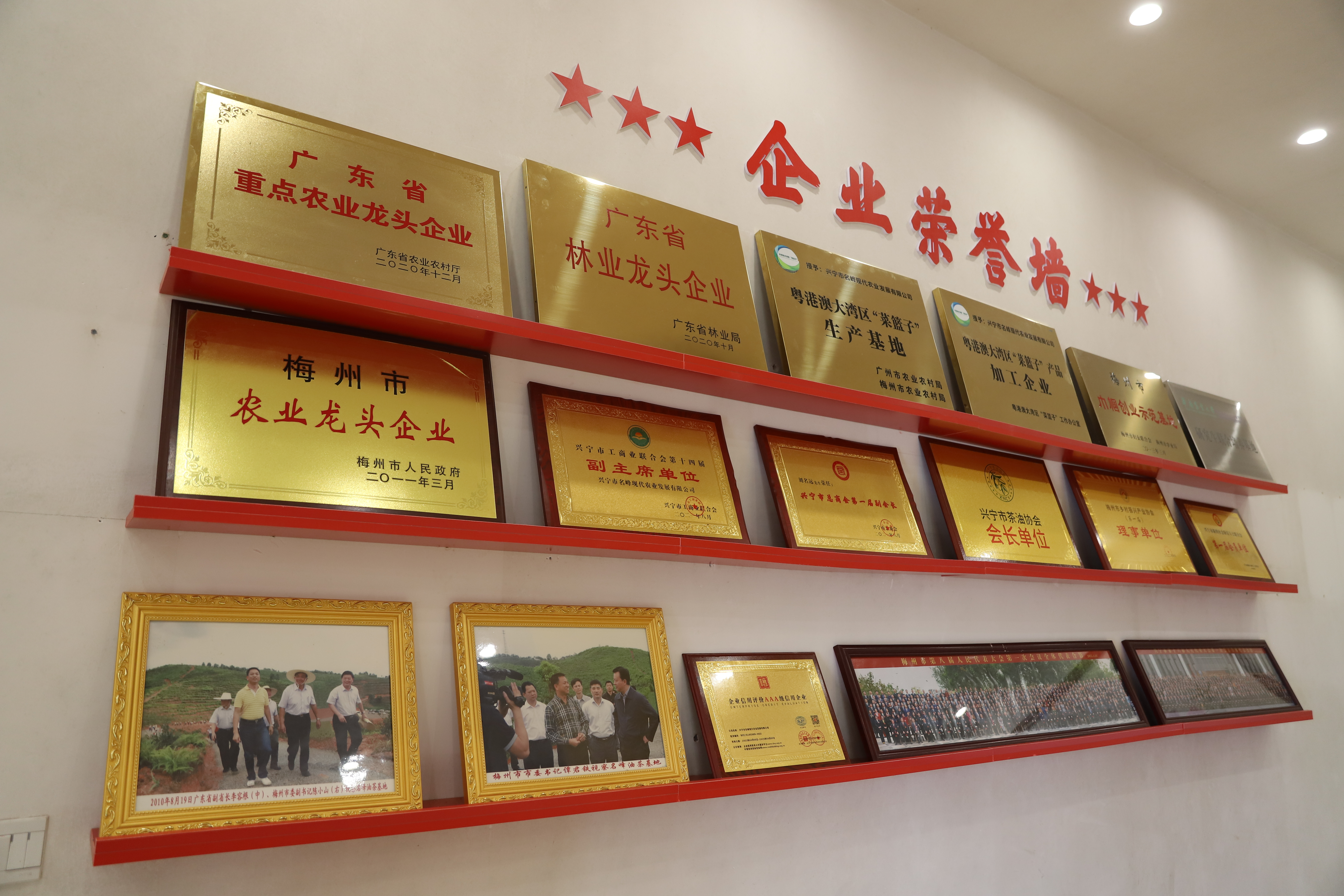 公司展示