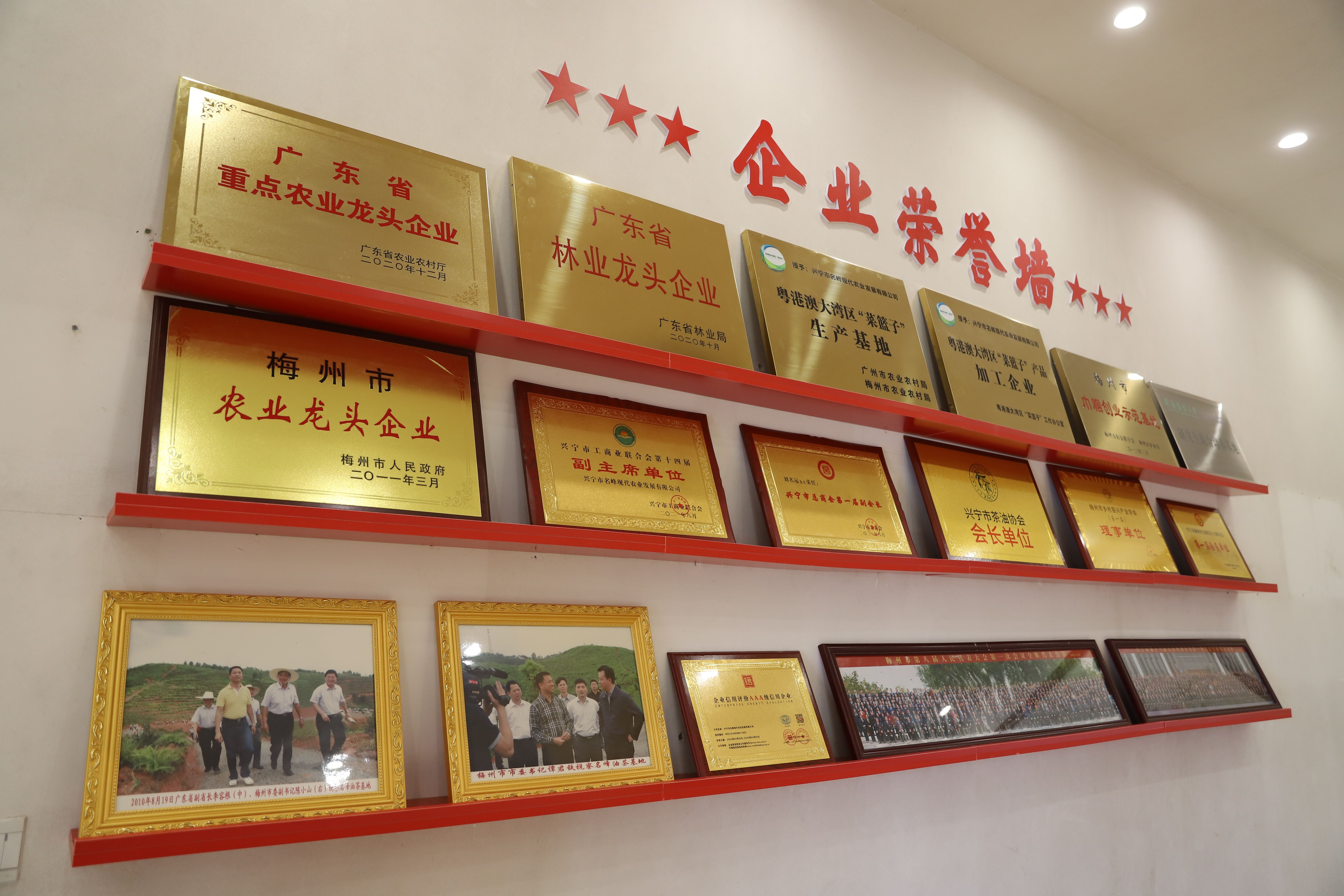 新聞配圖 (1).jpg