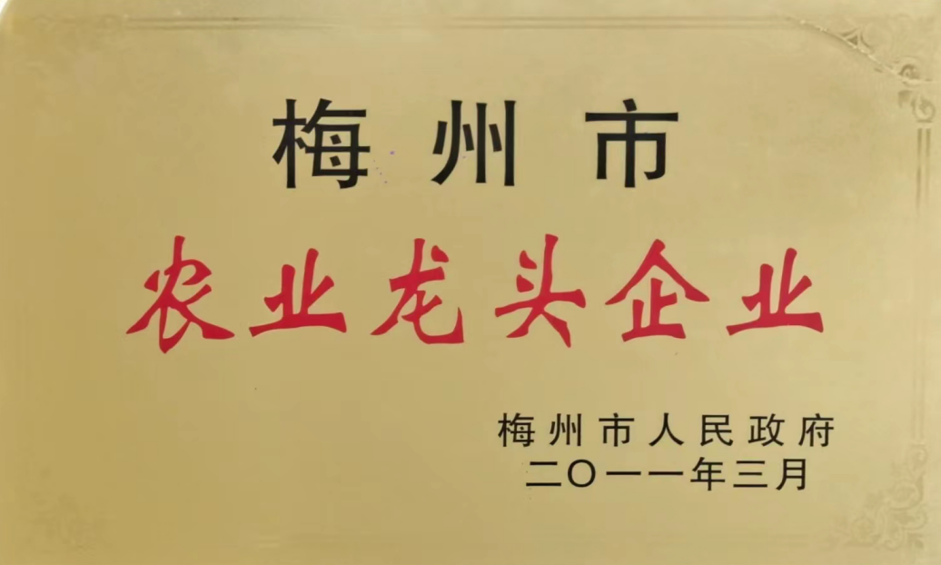 梅州市農(nóng)業(yè)龍頭企業(yè)